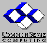 Common Sense Computing