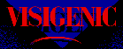 Visigenic Software